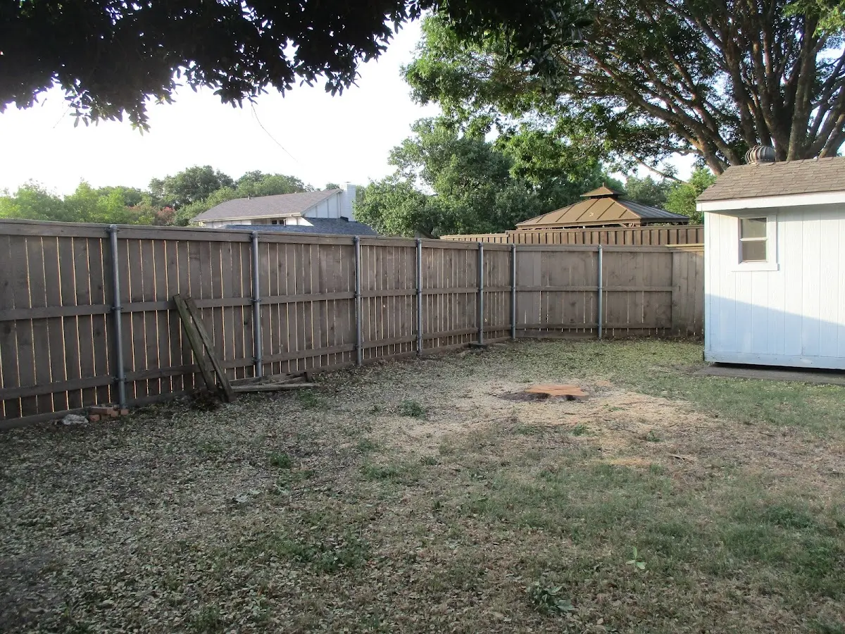 Cleared yard after professional tree removal in Fair Haven